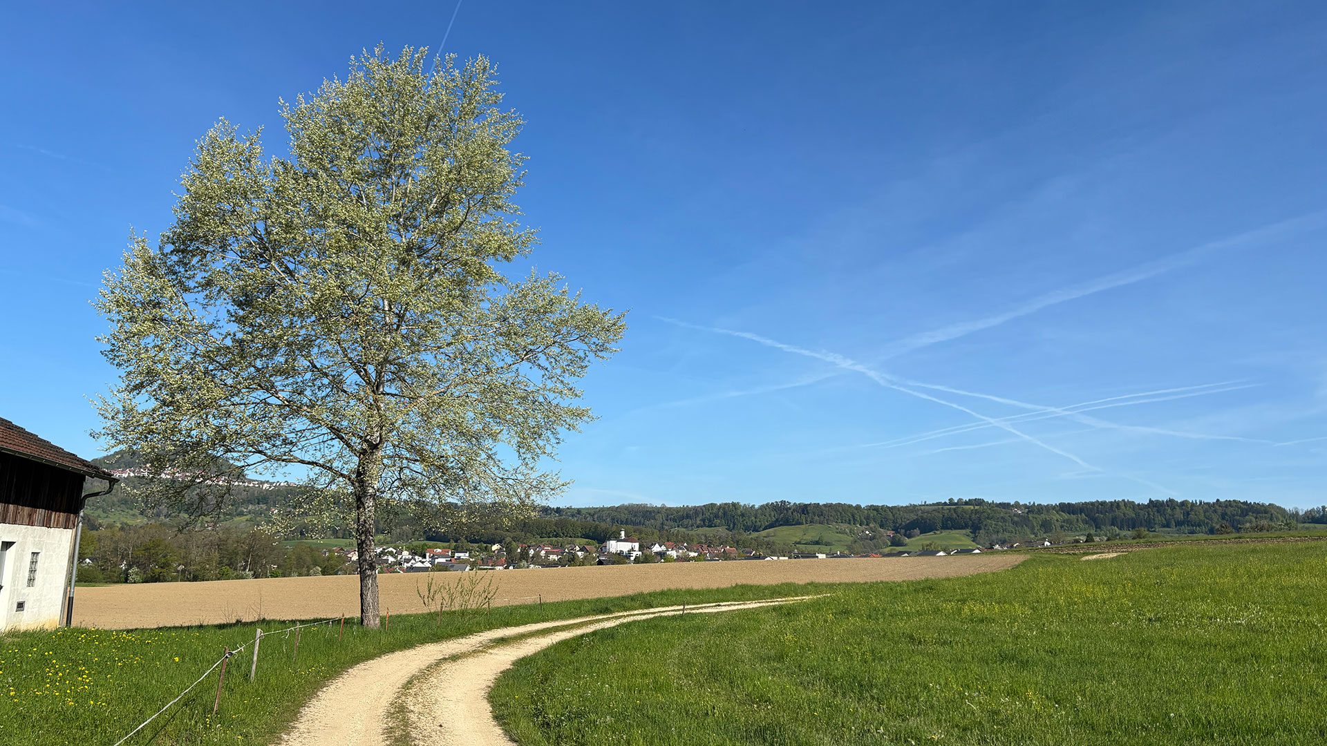 Ottenbach Panorama